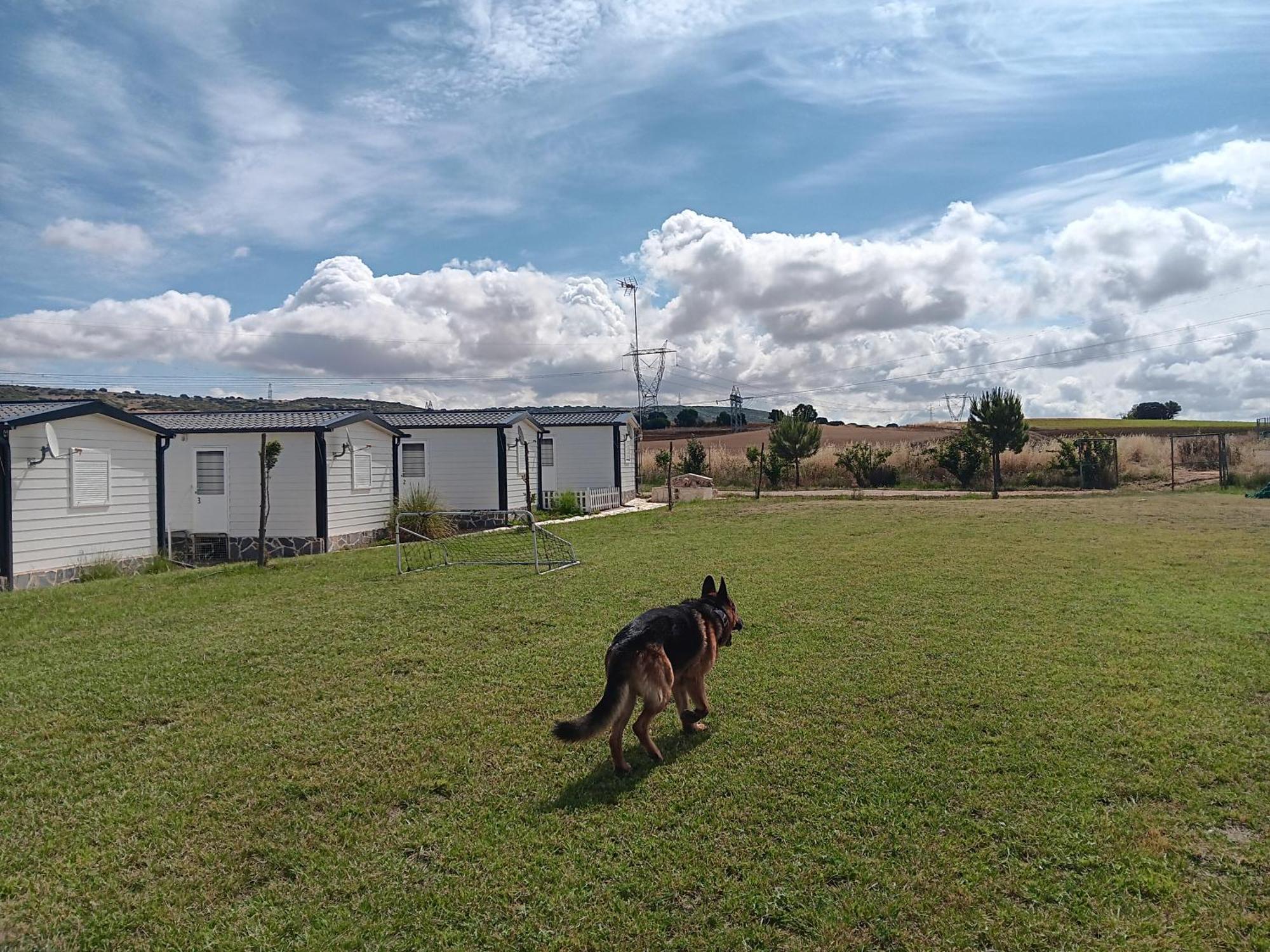 Era 124 Lägenhet Zafra de Záncara Exteriör bild