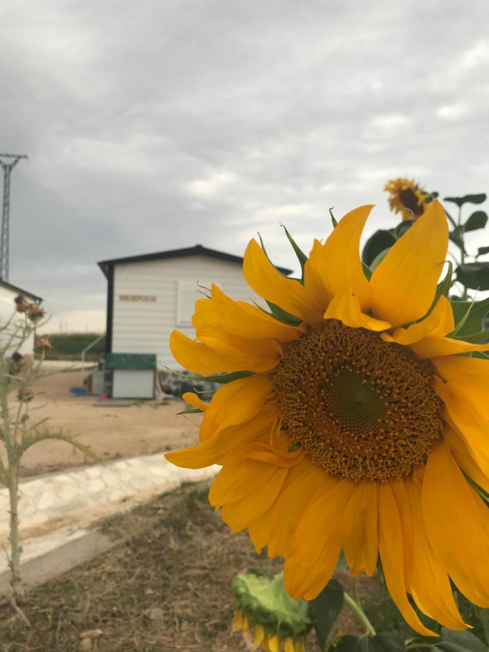 Era 124 Lägenhet Zafra de Záncara Exteriör bild